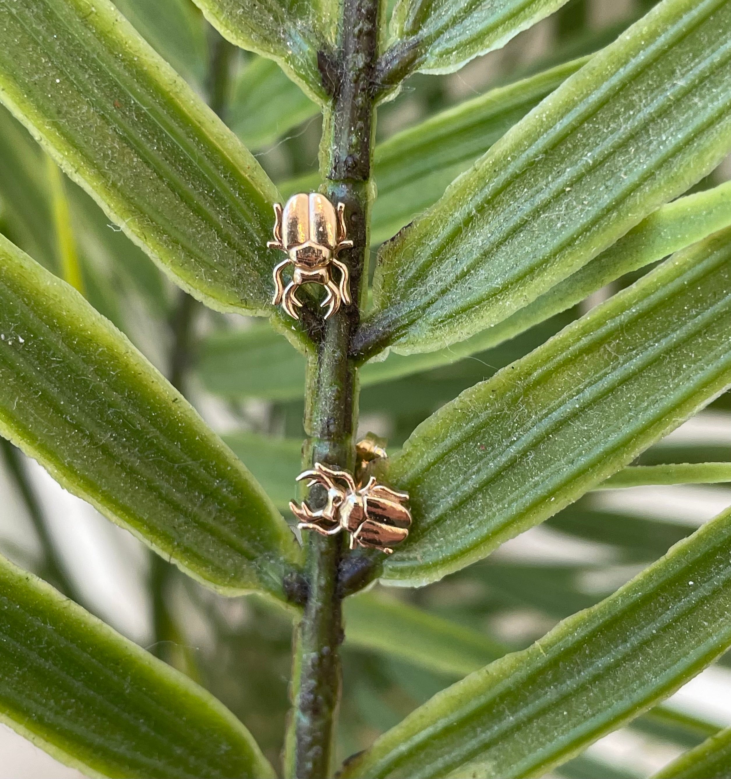 jewelry, earrings, 14k gold, 14k gold jewelry, 14k gold earrings, gold, yellow gold, gold jewelry, gold earrings, nature inspired jewelry, butterfly back earrings