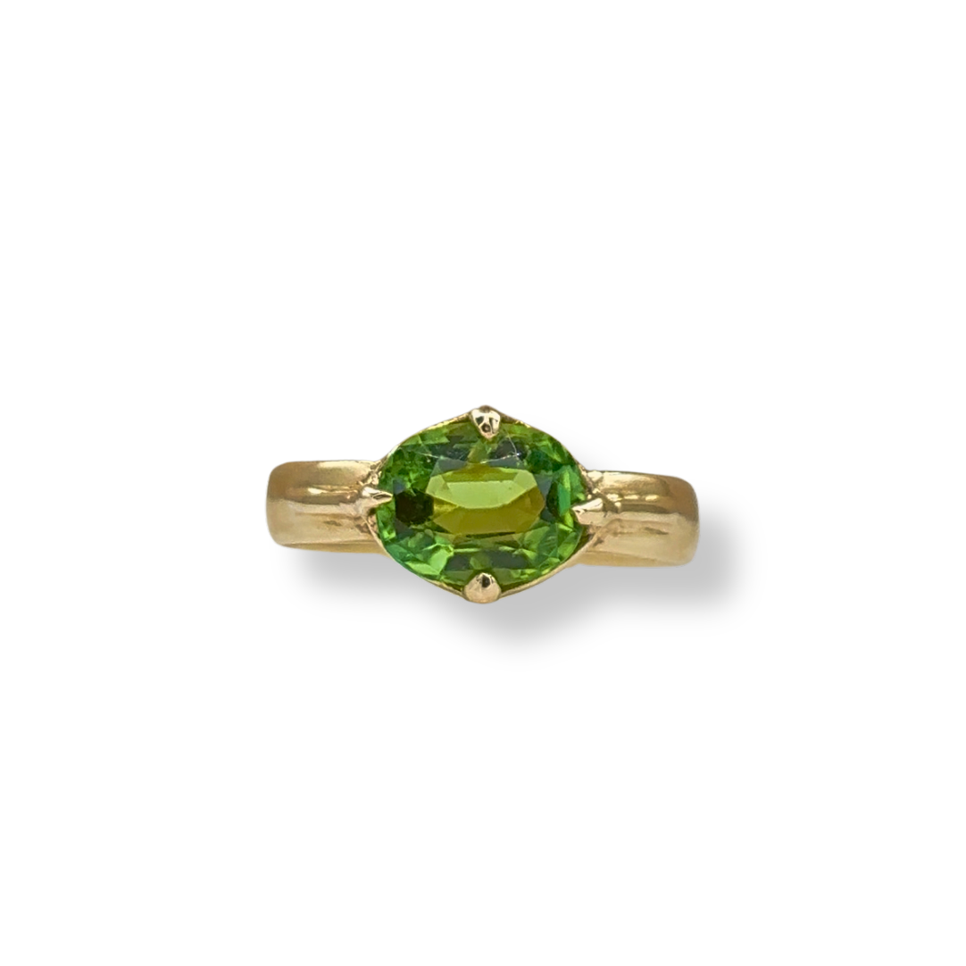The Tourmaline Bezel Wide Band Ring