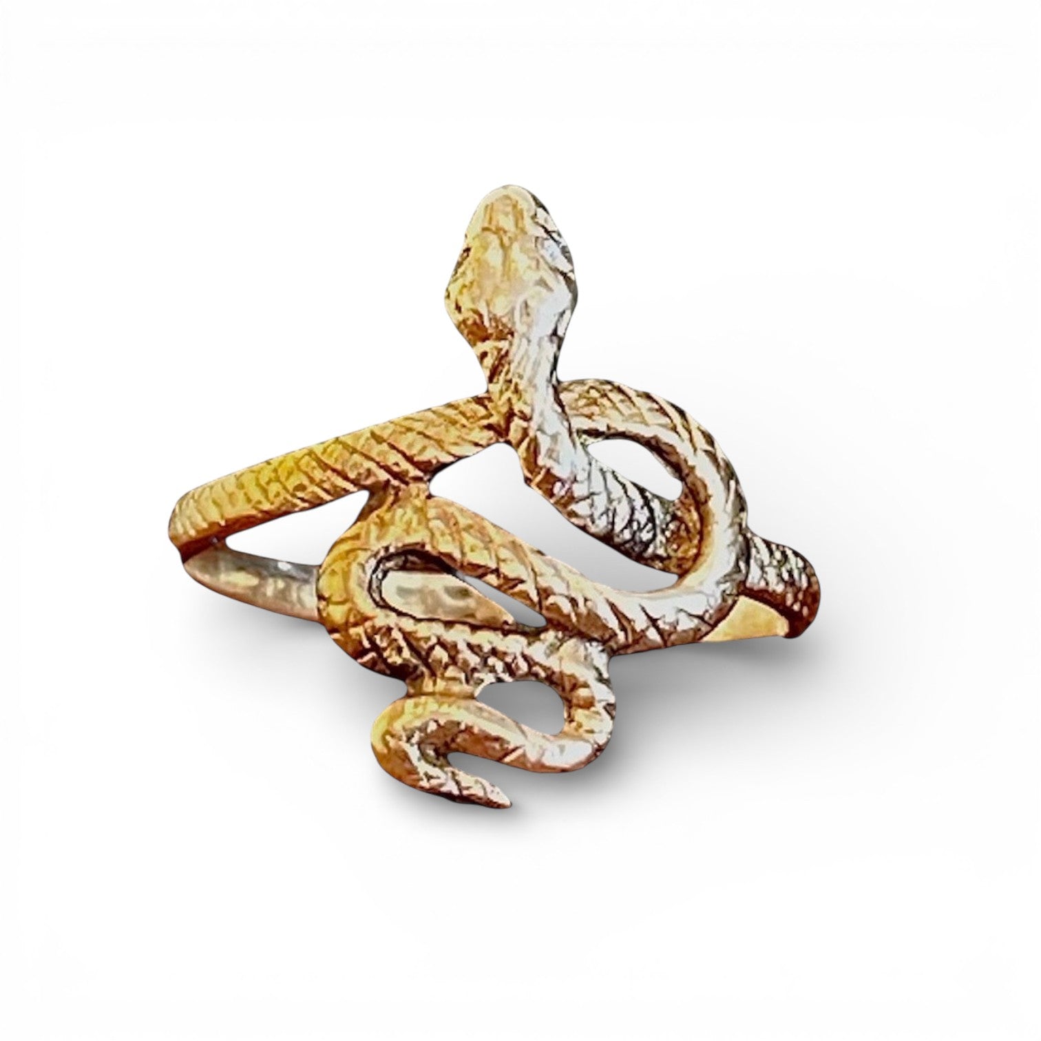 The Snake Ring