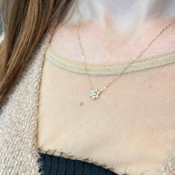 14k Star of David with Diamond Necklace